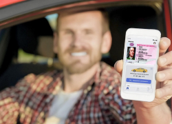 С октября новороссийцы смогут предъявлять электронные водительские права
