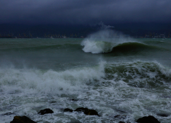 В порту Новороссийск приостановили отгрузку нефти на экспорт