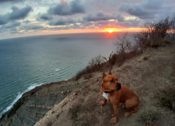 НЛО или Венера? Новороссийцы спорят, что они видели ночью 