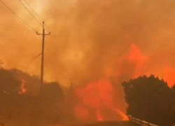 Пострадавшие в мегапожаре в Дюрсо могут получить компенсацию 