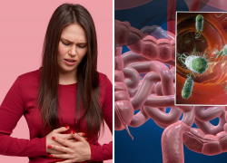 Как бы чего не подцепить: Краснодарский край назвали самым опасным для отдыха 