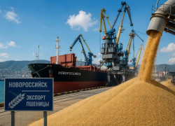 Более 400 тысяч тонн за неделю: через Новороссийск резко вырос экспорт зерна