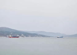 Свыше 500 беспилотников сбили над Чёрным морем и не только: в Ростове-на-Дону повреждён мост 