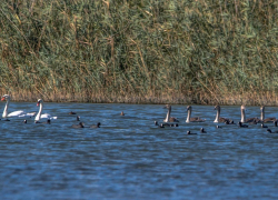 Погода в Новороссийске: малооблачно и солнечно