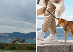 «Выгул собак на священной Малой Земле недопустим», - собачников Новороссийска призывают к совести 