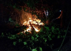 Только к утру удалось ликвидировать пожар в Цемесской роще Новороссийска