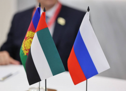 Новороссийск – новые Эмираты? О чём губернатор Краснодарского края договорился с ОАЭ
