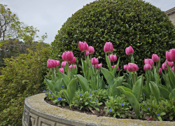 Гороскоп от «Блокнота»: Близнецам слушать только себя, а Скорпионам учиться доверять  