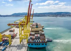 Морпорт Новороссийска нарушил условия лицензии 