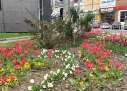 День прояснит много скрытого и поможет наладить общение