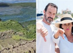 Ожидание/реальность: туристов разочаровал отдых на Черном море 