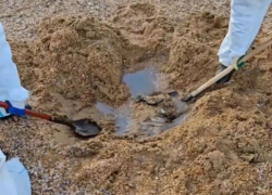 "Насмешка" над волонтерами? Под Анапой нашли закопанные мешки с мазутом