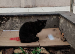 ТОП-10 лучших и худших УК назвали в администрации Новороссийска