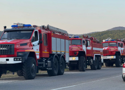 Юг России горит: в Геленджике площадь лесного пожара выросла до 41,5 гектара