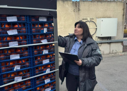 Ох уж эти мухи! В Новороссийск снова не пустили партию цитрусовых их Турции и Египта