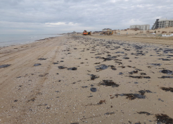 Пляжи Черного моря под угрозой: мазута может стать еще больше 