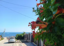 Погода в Новороссийске: жара становится всё комфортнее 