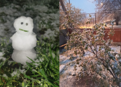 Снег идет на юге России: засыпало Геленджик и Краснодар, чем весна удивляет Новороссийск