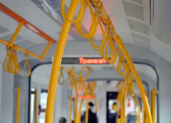 Снова повышение: в Новороссийске с 1 марта подорожает проезд в троллейбусах