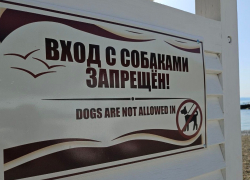 Гороскоп от «Блокнота»: Девам не избежать конфликтов, а Близнецам приготовиться к переменам