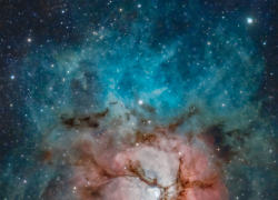  Гороскоп от “Блокнота” на 5 июля: Козероги получат то, о чем давно мечтали, а Львы столкнутся с препятствиями