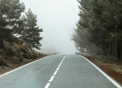 Три этапа строительства “Южного обхода” в Новороссийске обойдутся в 51 млрд рублей