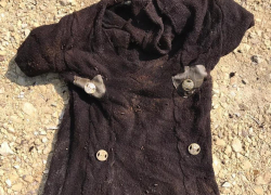 Кости и женскую одежду обнаружили в лесу под Новороссийском