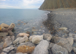 Мазут уносит вглубь Черного моря: что это значит? 