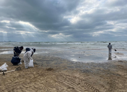 С побережья Чёрного моря вывезли более 70 тысяч тонн мазута и песка: на пляже не расслабишься 