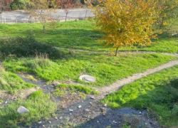 Фекальные реки на детских площадках портят Новороссийск