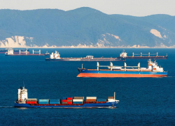 В порту Новороссийска обнаружили опасных «пассажиров»