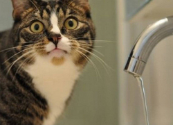 Вода в Новороссийске пойдет только вечером 