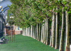 Погода в Новороссийске: высокая температура, ветер и дождь