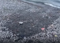 Кипяток сливается в акваторию: как в Новороссийске "подогревают" море 