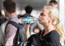 Вода по цене самолета: наценку на товары в аэропортах ограничат