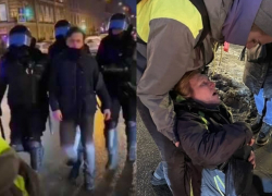 Ногой в живот: полиция извинилась перед избитой на митинге женщиной 