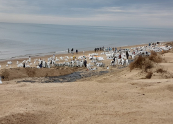 Ликвидация ЧС на Черном море: что известно к этому часу 