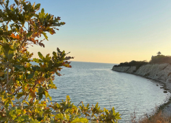 Погода в Новороссийске: жара снова испытывает на прочность 