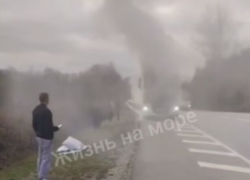 На трассе горит большегруз, а неизвестный насмерть сбил оленя в Краснодарском крае