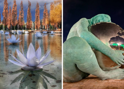 Тысячи россиян отправились в парк Галицкого: кидают рыбам монеты и моют ноги в пруду