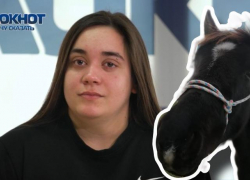 "Украли, вывезли в лес...": девушка из Новороссийска год ищет свою лошадь