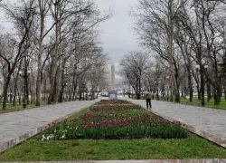 День земли, прогулок по парку предлагают отпраздновать новороссийцам