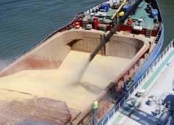 Перевалка зерна в Новороссийске увеличилась в 5 раз