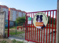 Скоро в Новороссийске можно будет выгуливать собак официально