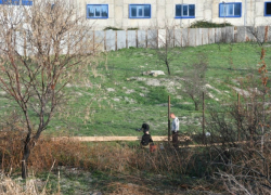 Лучше места не нашлось: в Новороссийске рядом с Прилагуньем появится новая метеостанция