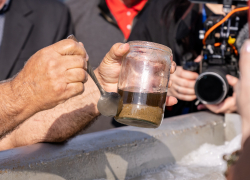 В Анапе бактерии «едят» мазут: как еще ученые ликвидируют последствия розлива нефтепродуктов