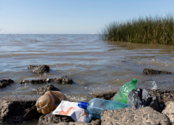 Туристы в Краснодарском крае массово болеют ротавирусом — когда новороссийцам купаться не стоит