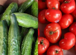 Кубанские деликатесы: во сколько обойдётся новороссийцам «весенний» салат с местными огурцами