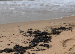 Пляжи в Анапе открывать нельзя: глава Роспотребнадзора сделала прогноз на сезон 2026 года