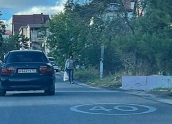 "Есть БОМЖ, а ты - ЧМО!": жительнице Новороссийска подбили машину 